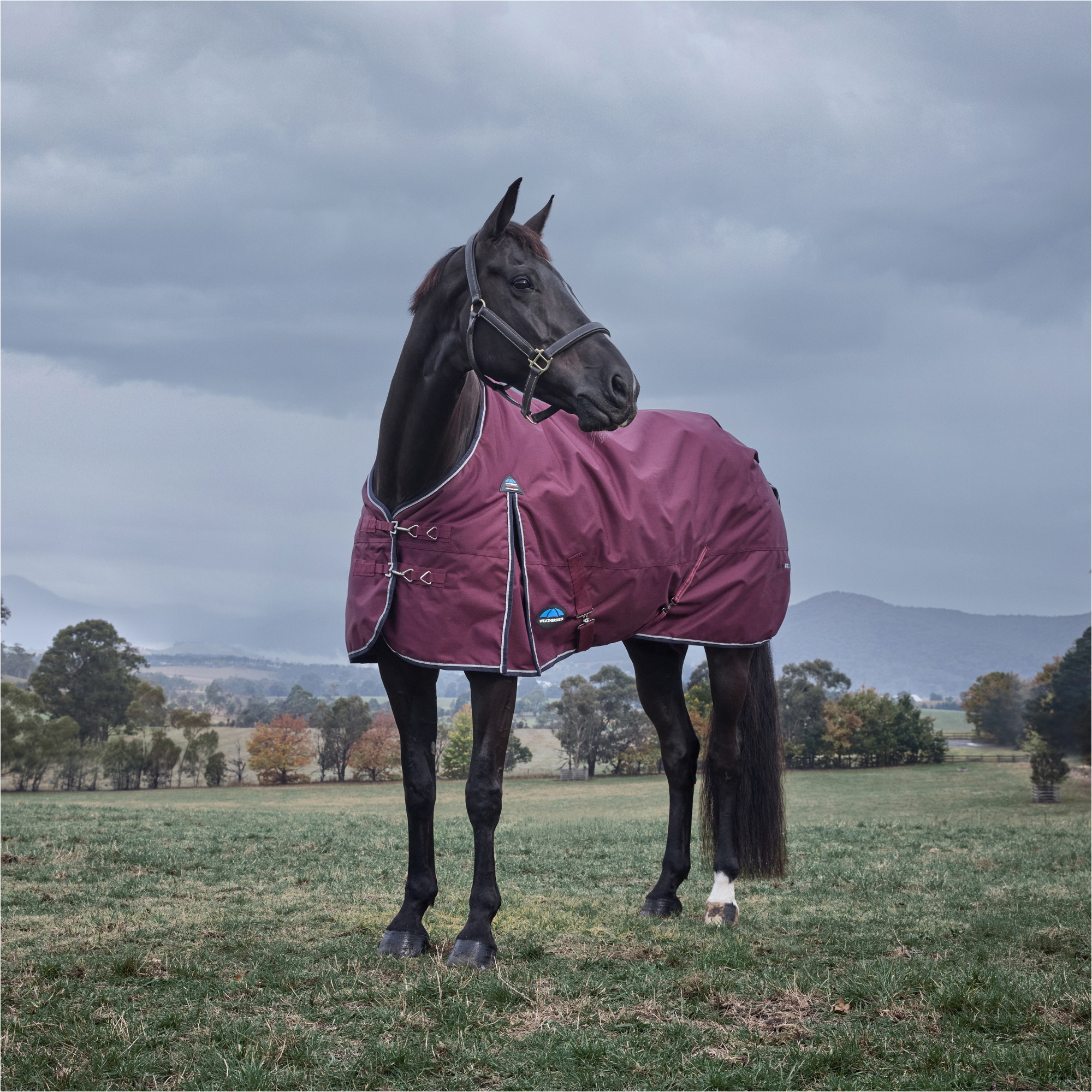 2025 WeatherBeeta Comfitec Essential Turnout 1029022 - Burgundy